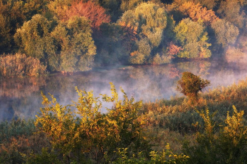 Фотография автора Светлана Груньковская