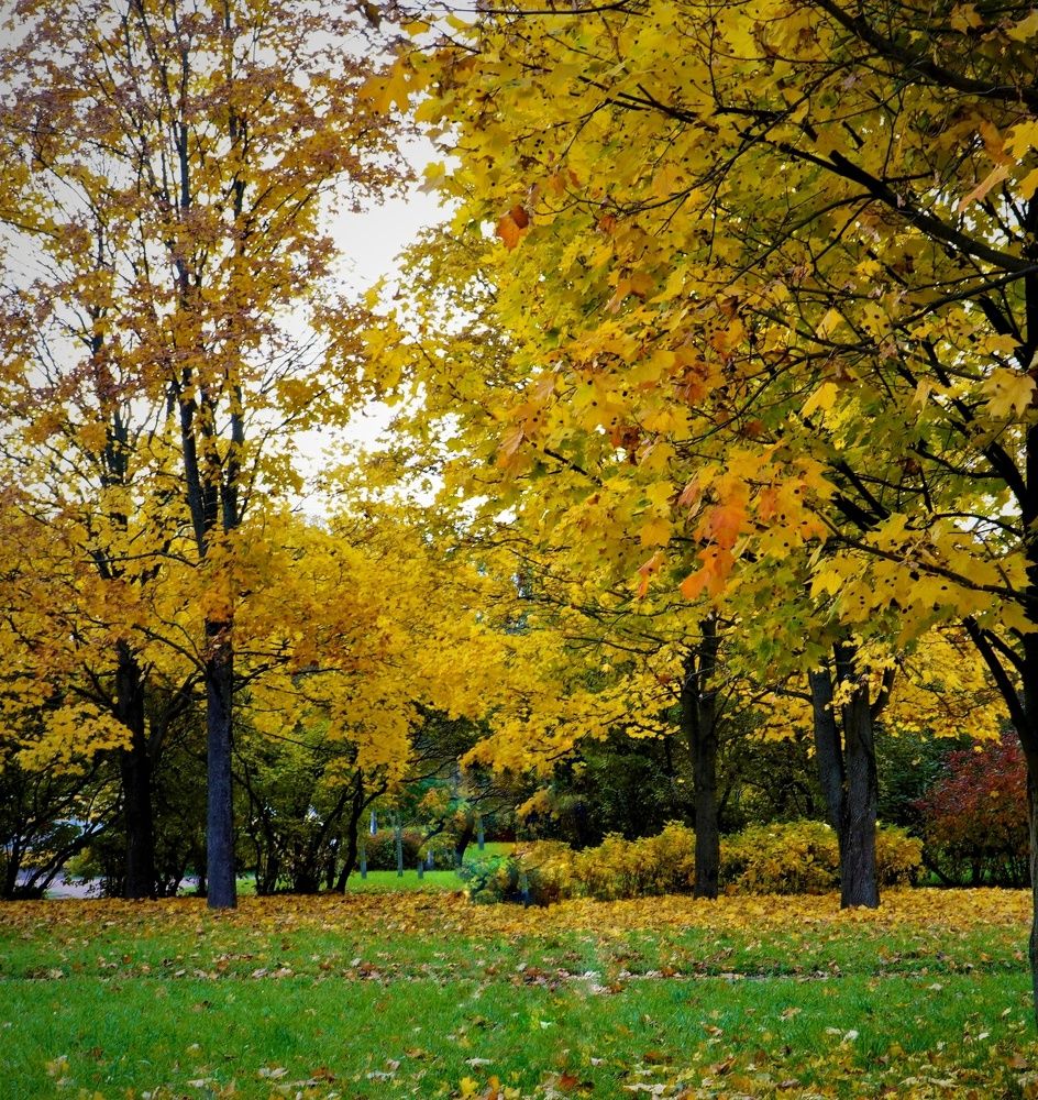 Photograph by Марина Безенкина