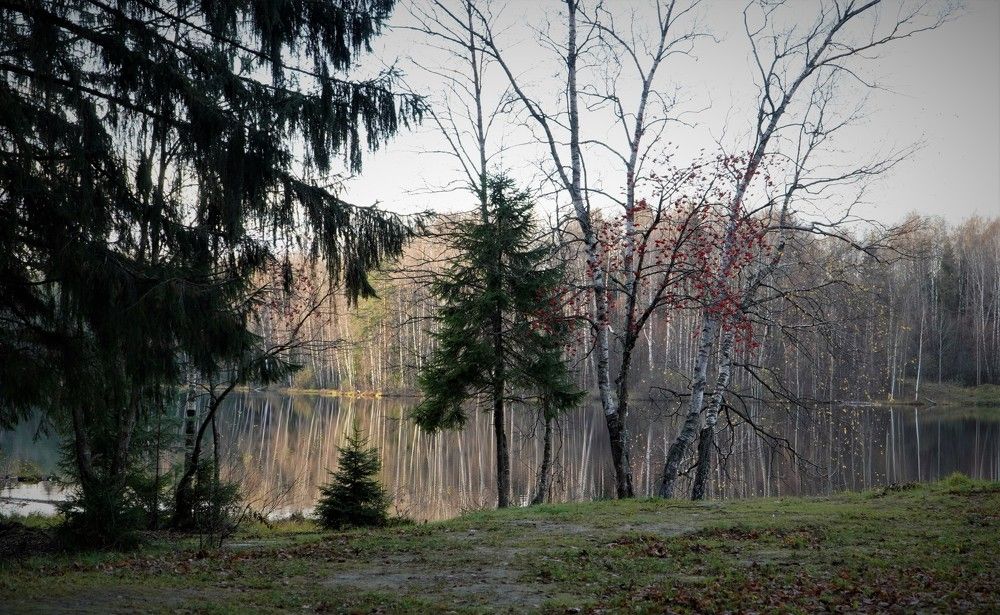 Photograph by Марина Безенкина