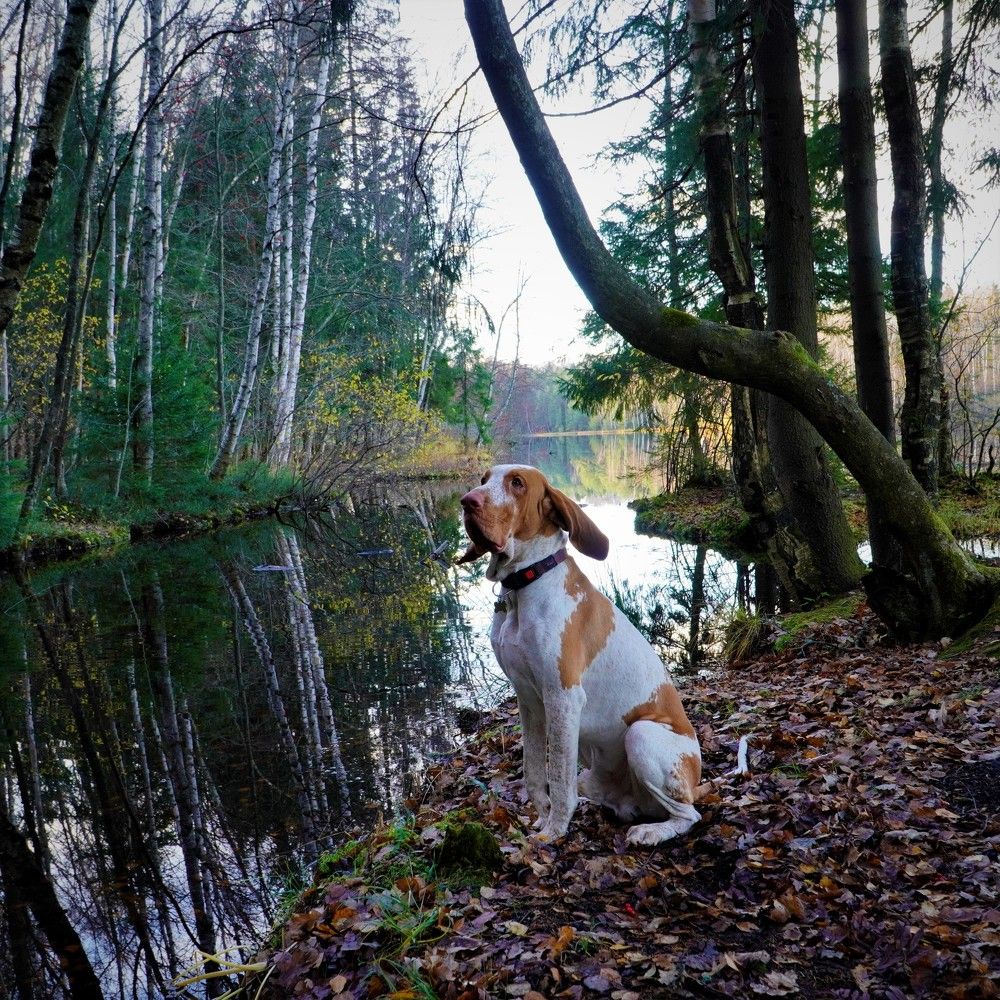 Photograph by Марина Безенкина