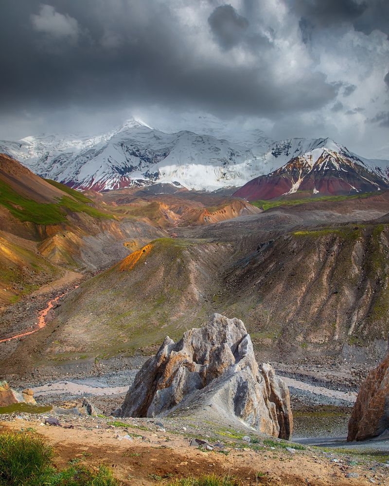 Зуб дракона