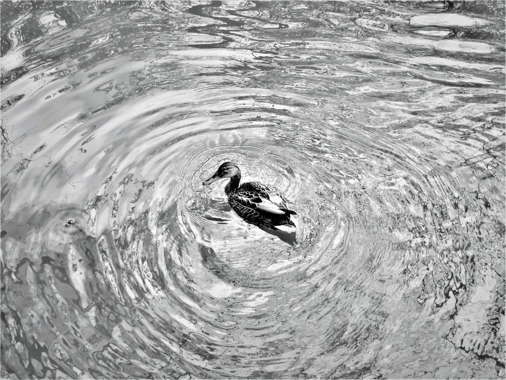 Photograph by Фирсов Никита
