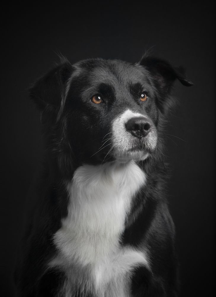 Photograph by Alexandre Marques