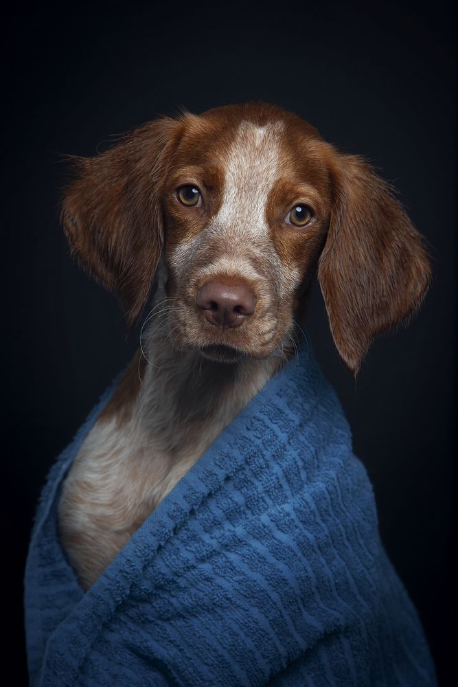 Photograph by Alexandre Marques