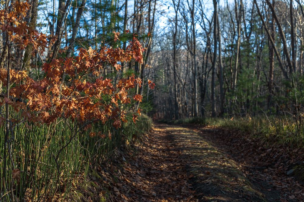 Photograph by Александр Кузнецов