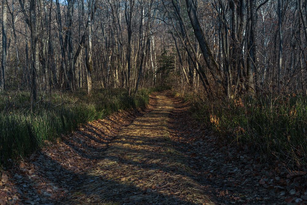 Photograph by Александр Кузнецов