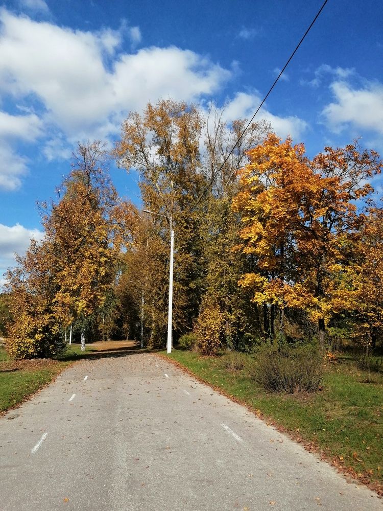 Photograph by Лариса Смирнова