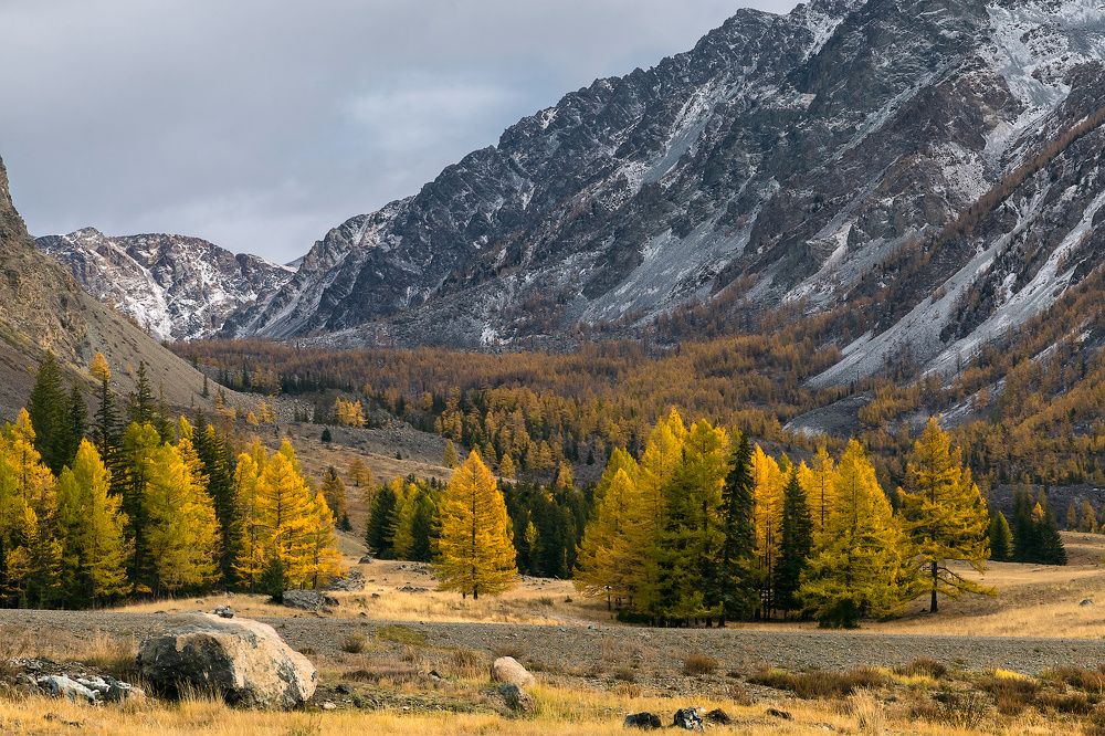 Photograph by Ярослав Лукьянов