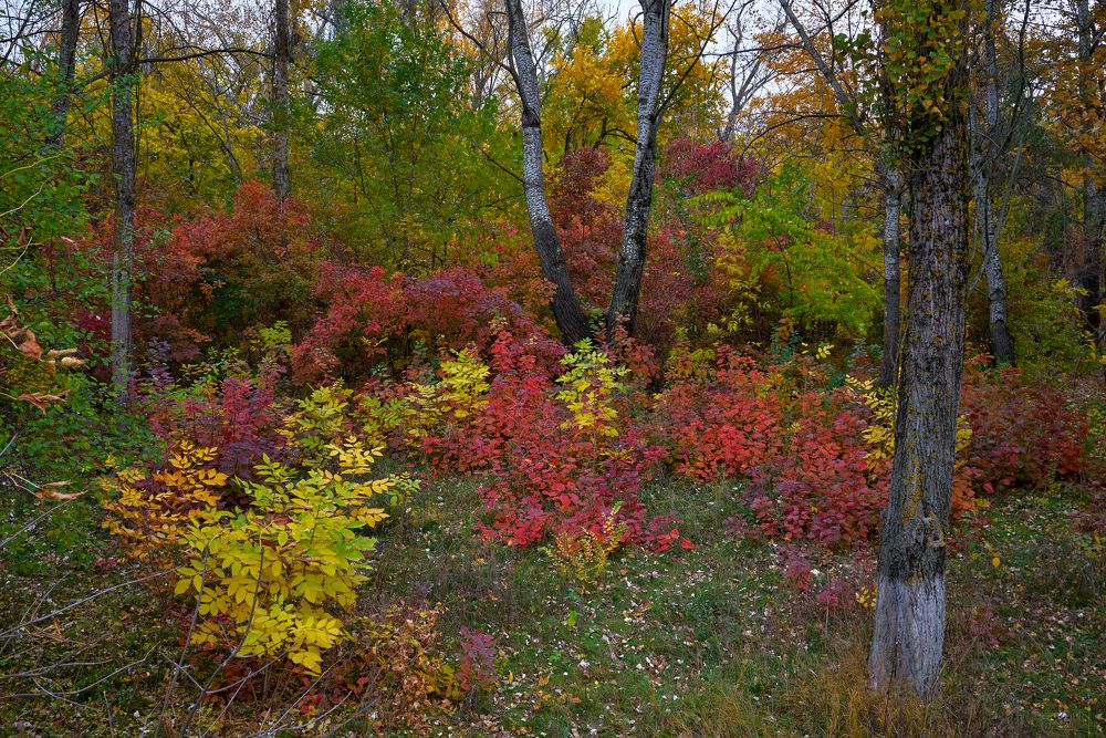 Photograph by Yaroslav