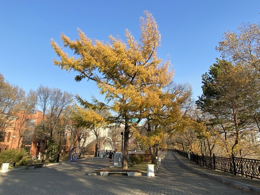 Photograph by Сергей Лысюк