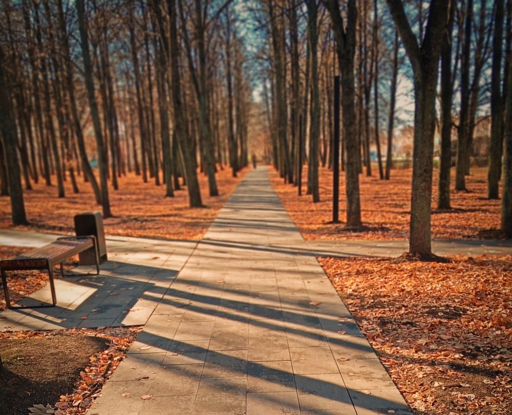 Photograph by Алла Беспалова