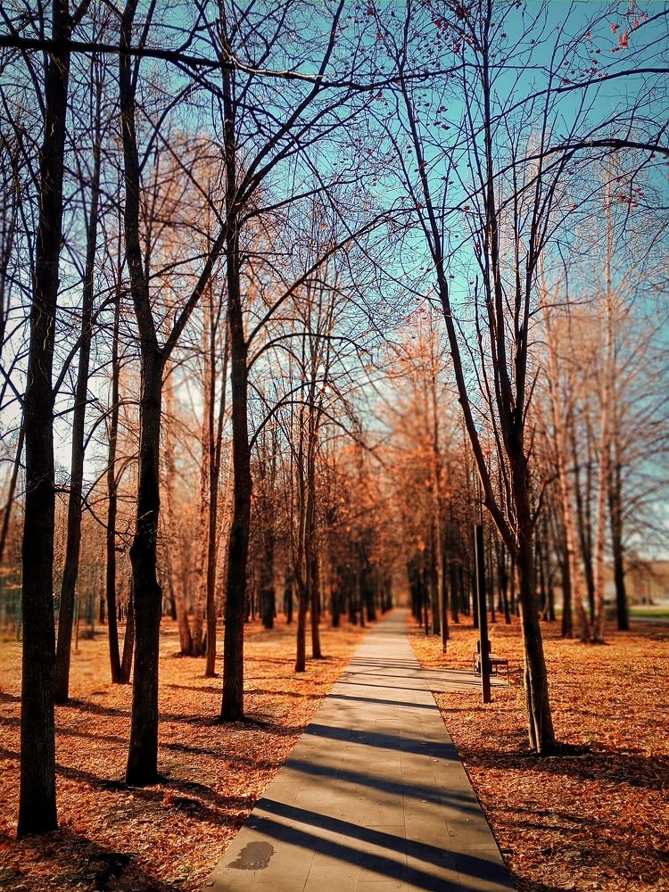 Photograph by Алла Беспалова