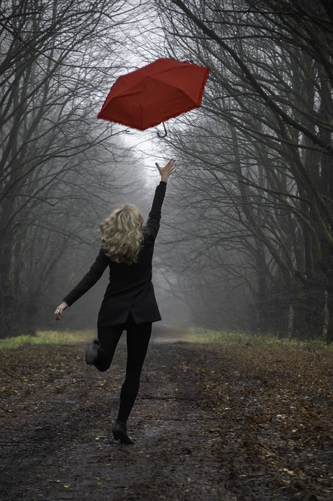 Фотография автора Eimar Kull