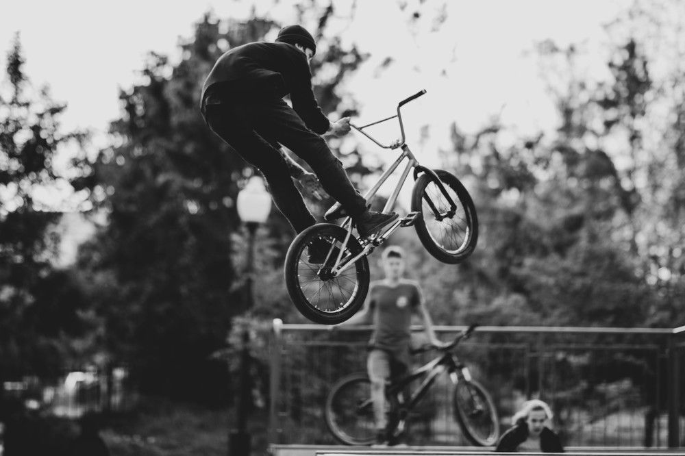 Fly
