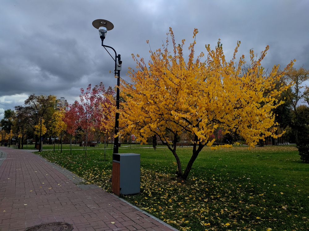 Photograph by Максим Умеренников