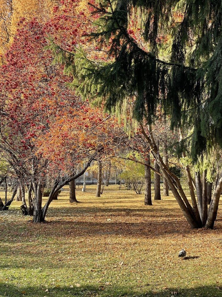 Фотография автора Nadezhda