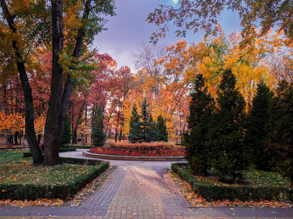 Photograph by Максим Умеренников