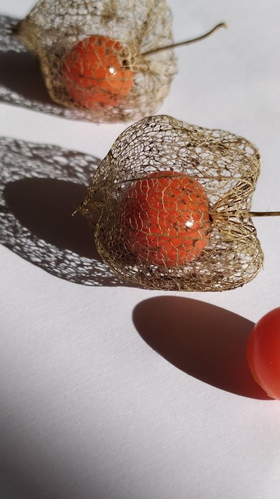 Photograph by Evgeniya Korsunova
