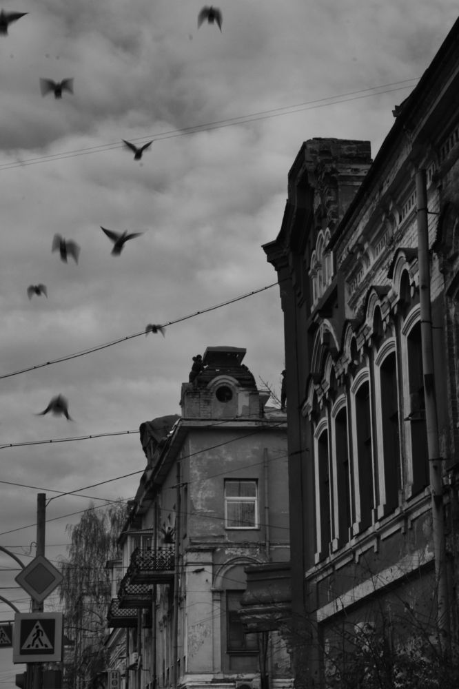 Photograph by Oksana Makhinova