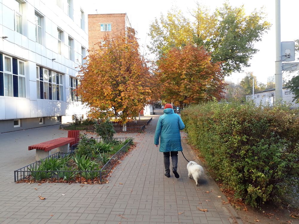 Осенняя улица в Ростове-на-Дону