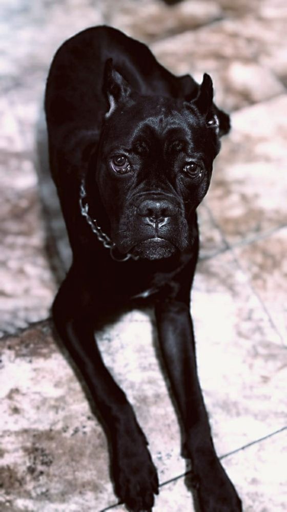 Photograph by Сергей Ветошкин