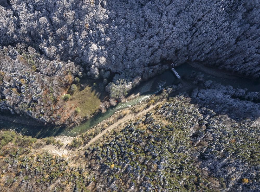 выйти из тени...