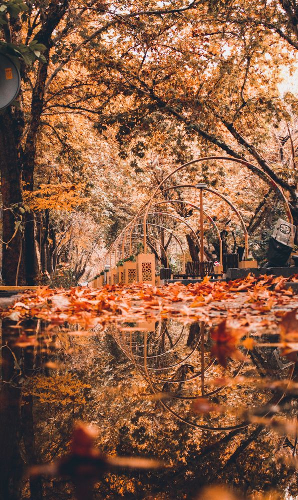 Photograph by ahmad hamzeh