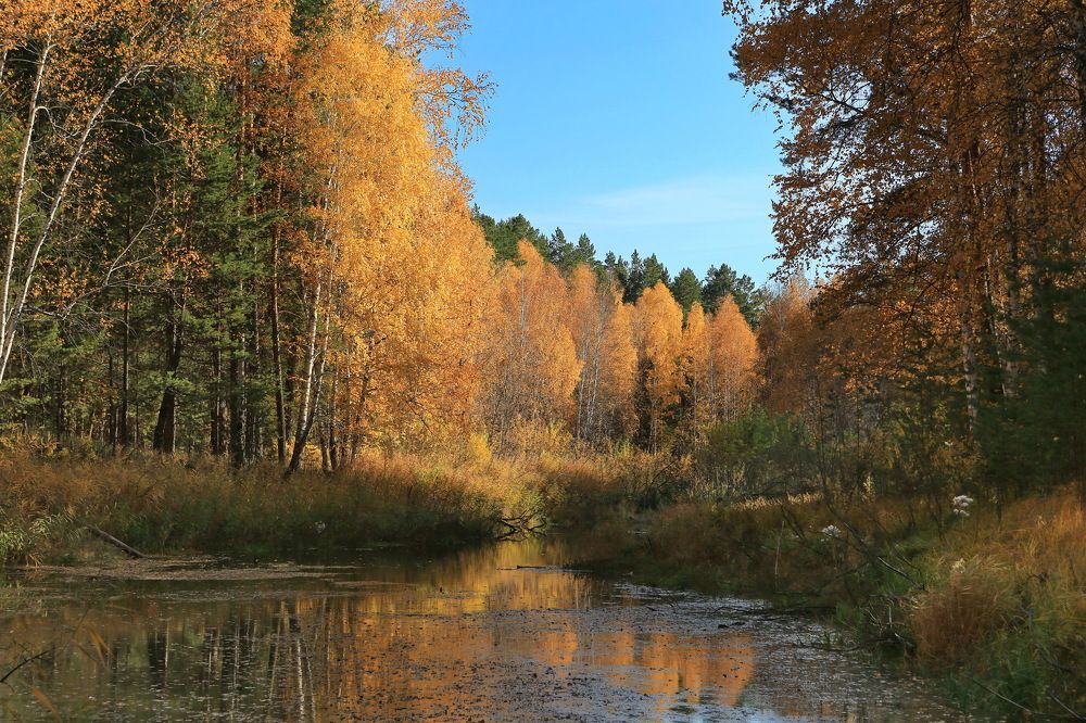 Photograph by Ирина Сушко