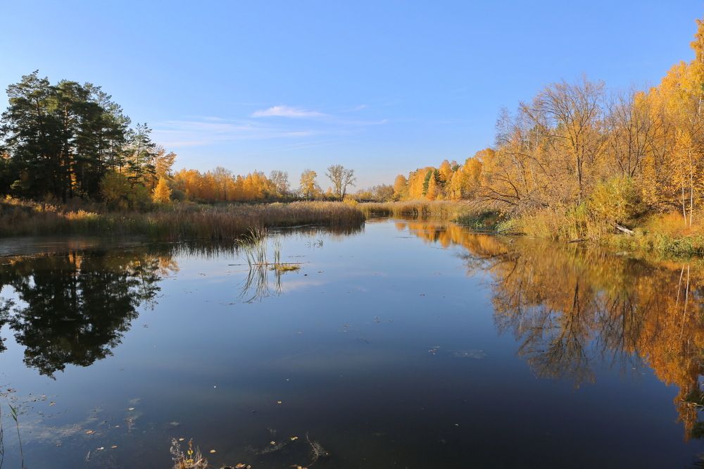 Photograph by Ирина Сушко