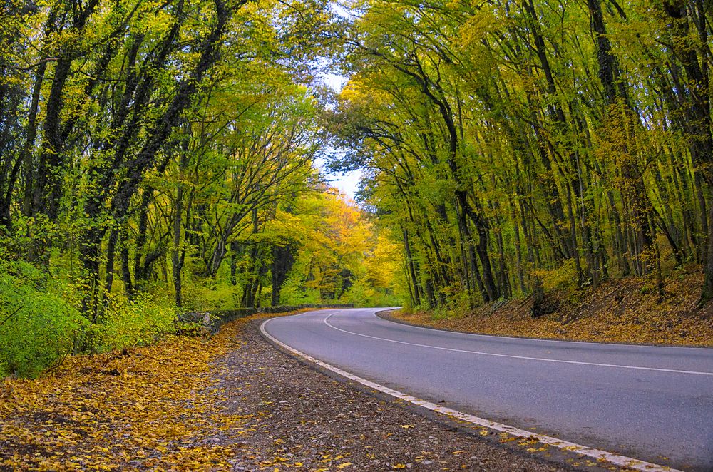 Photograph by  AlexSa