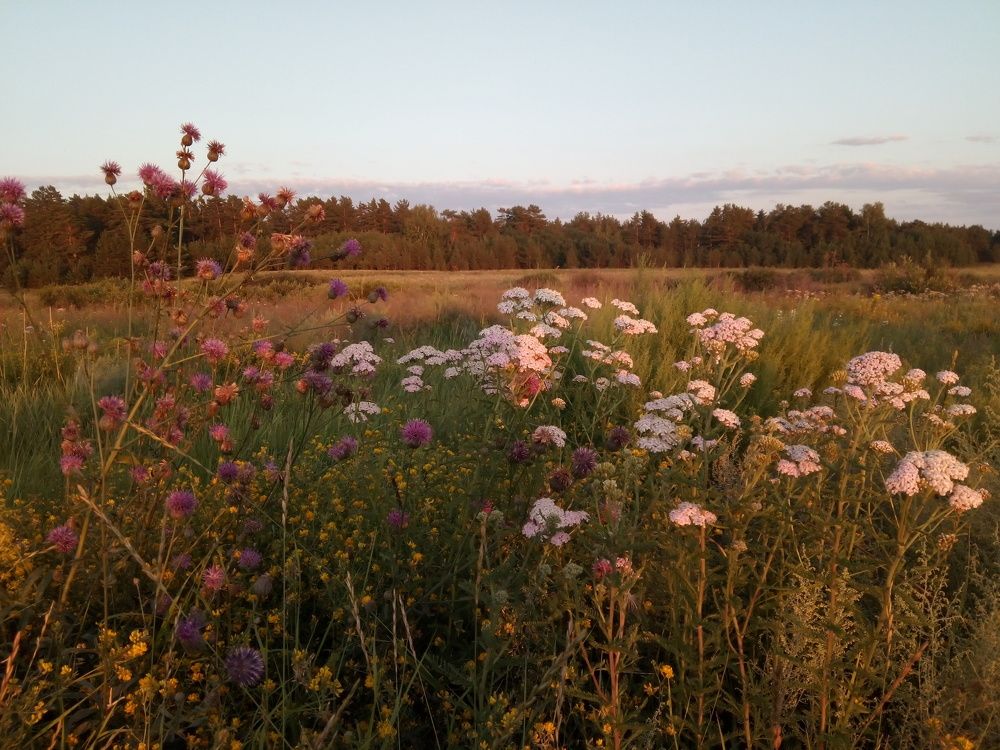 Photograph by Fedorova Valeria