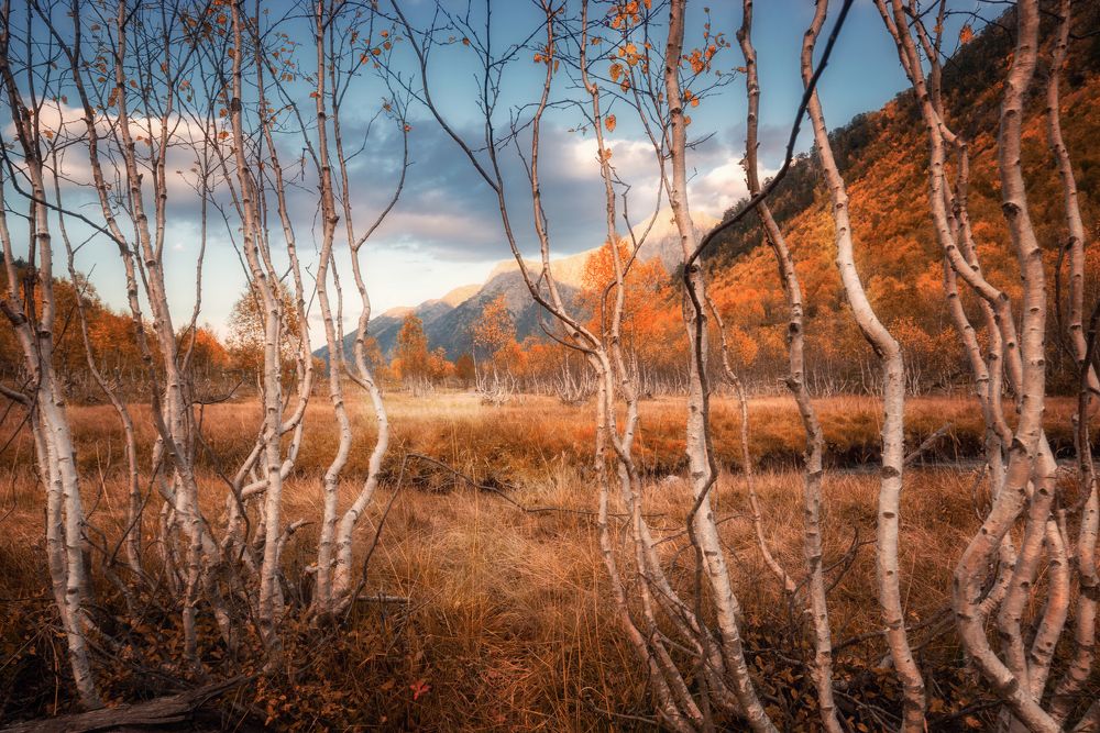 Photograph by Сергей Лукашенко