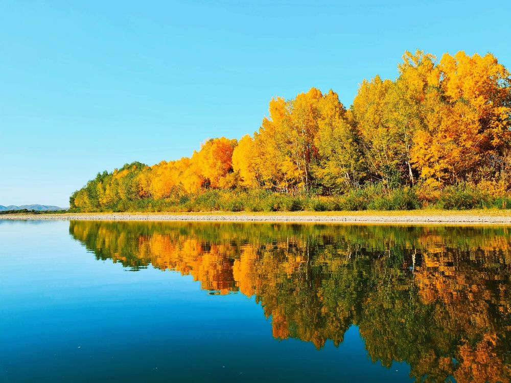 Photograph by Ольга Веселова