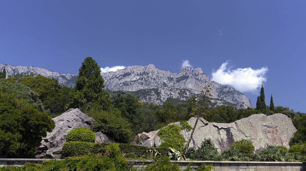 Воронцовский парк