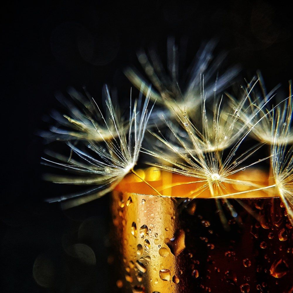 Photograph by Ольга Веселова