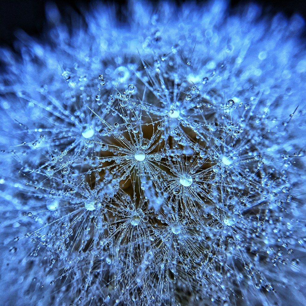 Photograph by Ольга Веселова