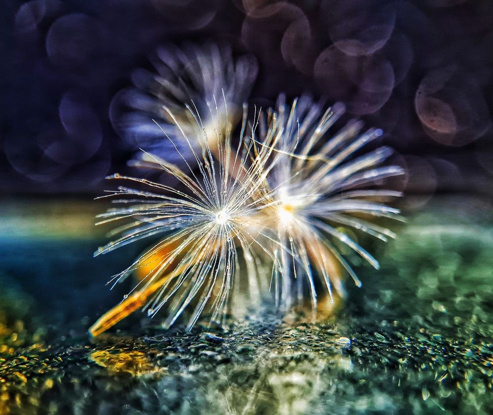 Photograph by Ольга Веселова