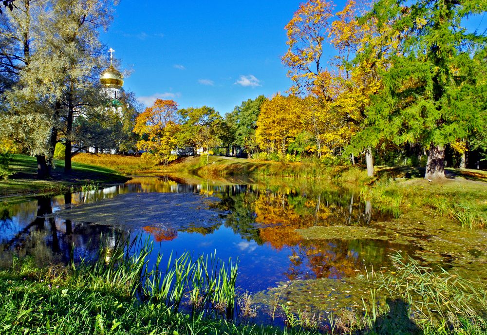 Photograph by Александр Клейд