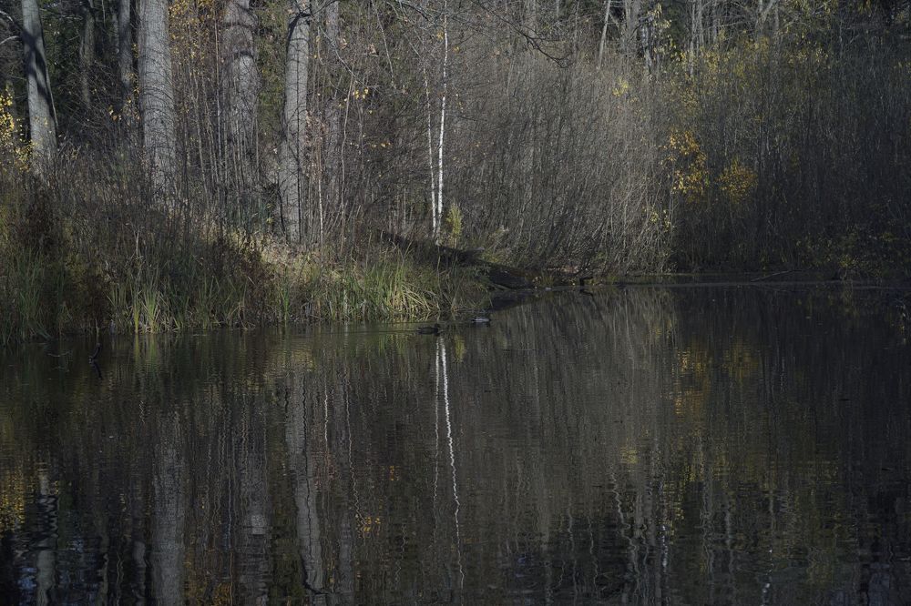 Photograph by Измаил Ефимов