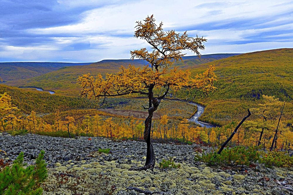 Photograph by Михаил Рудиков