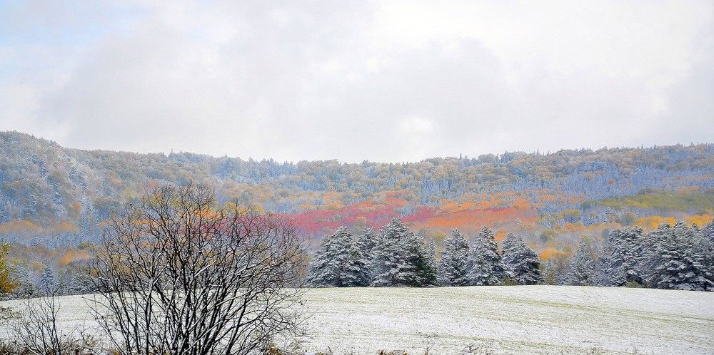 Photograph by Михаил Рудиков