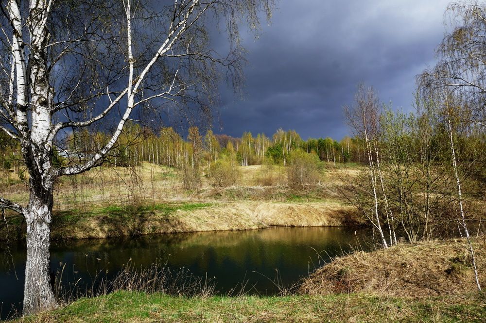 Поздняя осень.