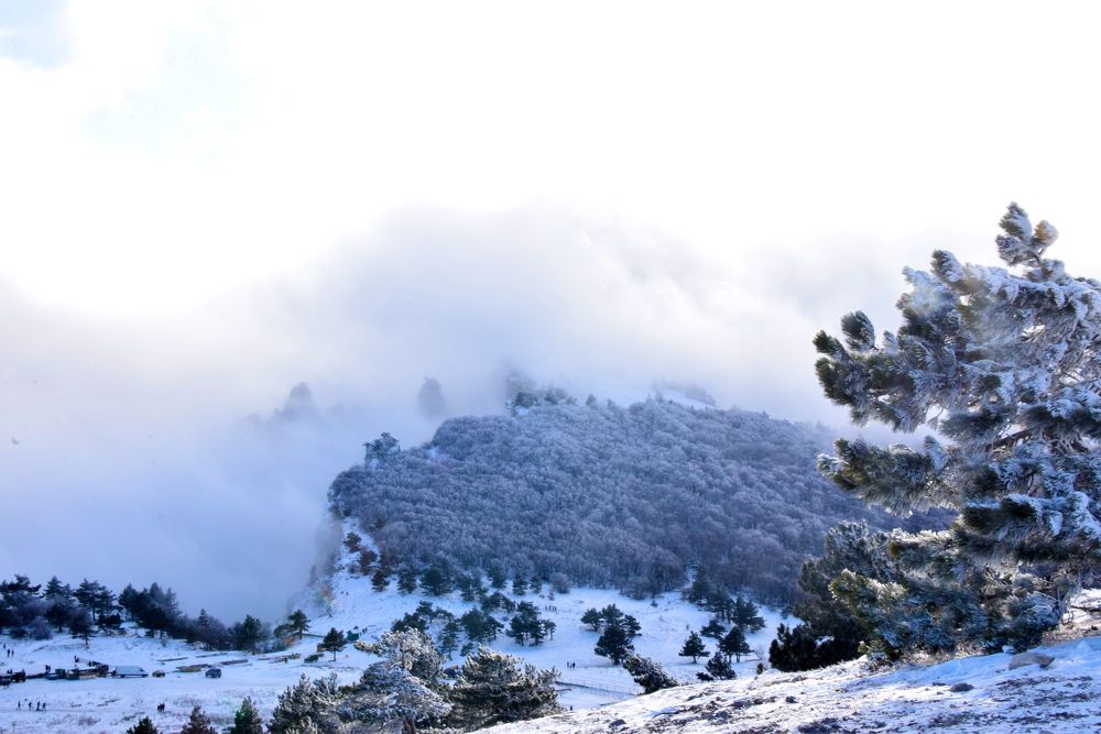 Photograph by Ирина Ри