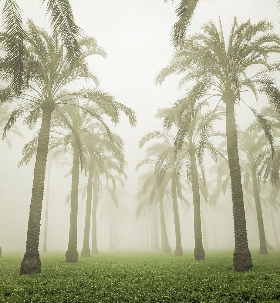 Photograph by Mosbah Hammad