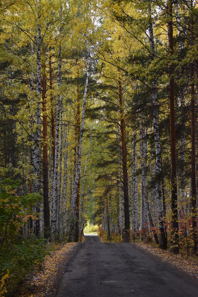 Photograph by Валерия