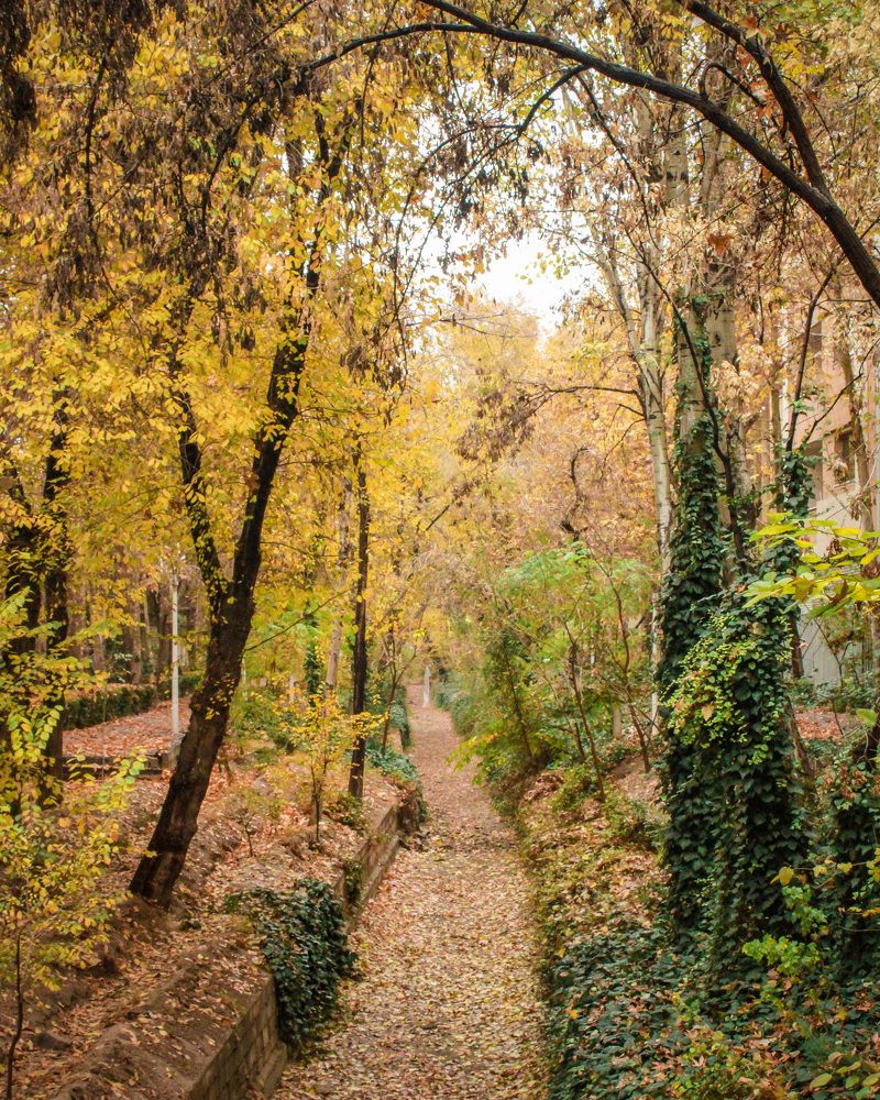 Photograph by safoura asghari