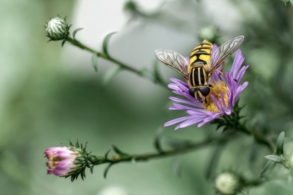 Photograph by Александр Стрельченко