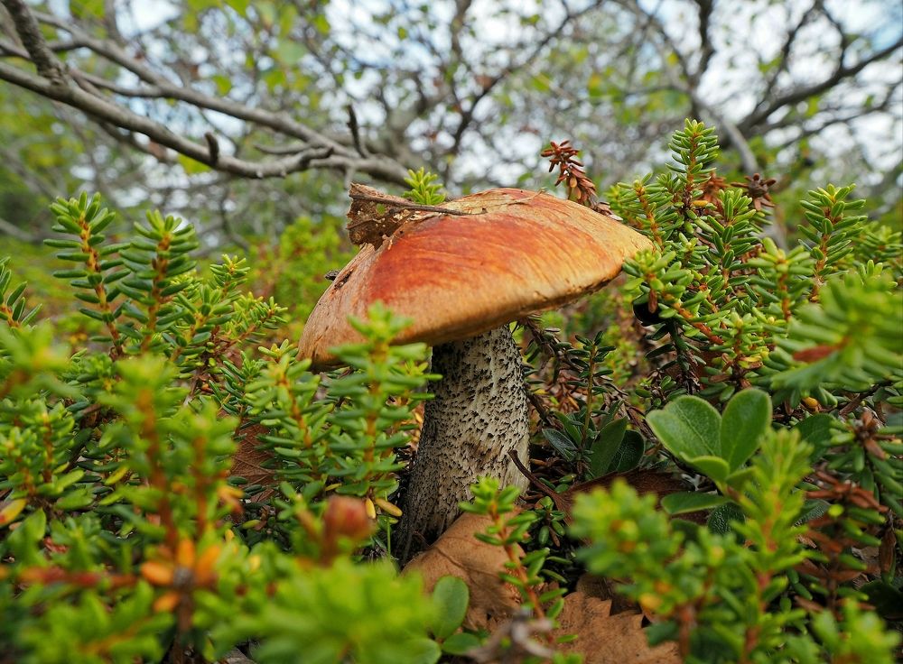 Photograph by Евгений Яковлев