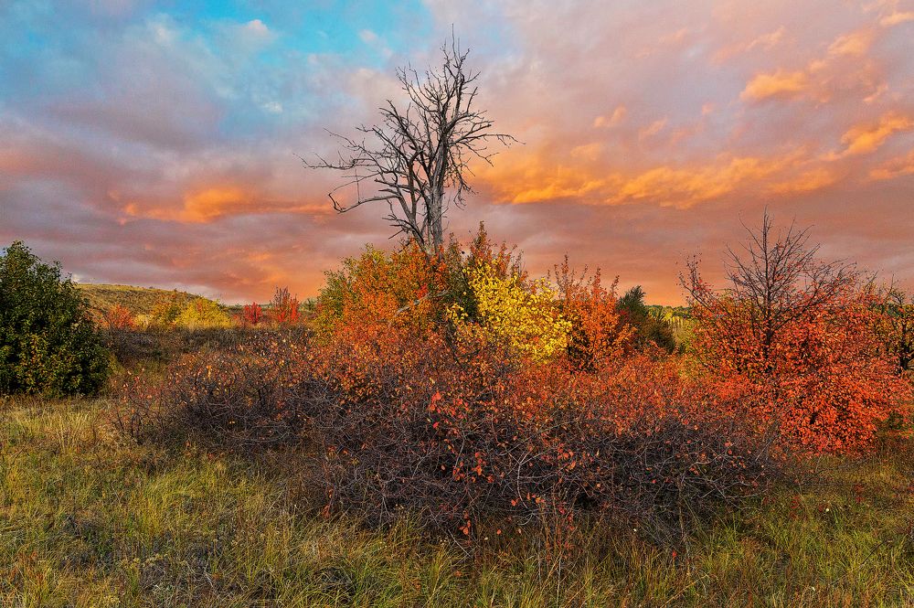...стояло ранее холодное утро начала октября, хрусткое, зябкое и сладкое, как попавшее на зубок спелое яблоко.