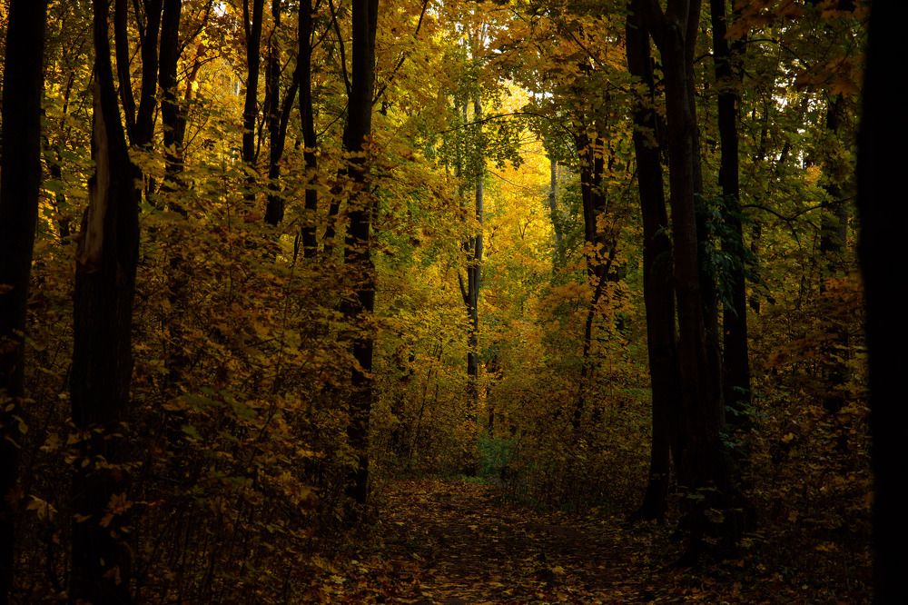 Photograph by Фёдор Передиреев